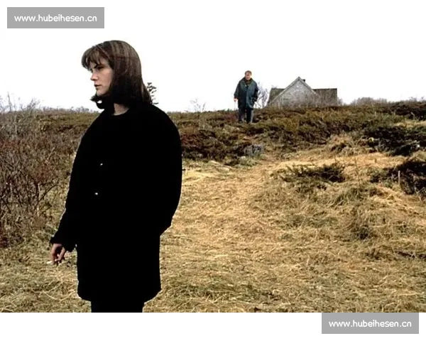 悬疑推理与破案智慧并行 揭开经典探案电影背后的迷雾与真相